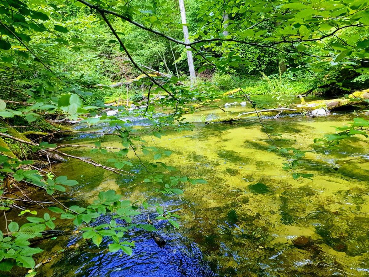 Jaskółka - pokoje i apartament przy plaży Olsztyn  Zewnętrze zdjęcie
