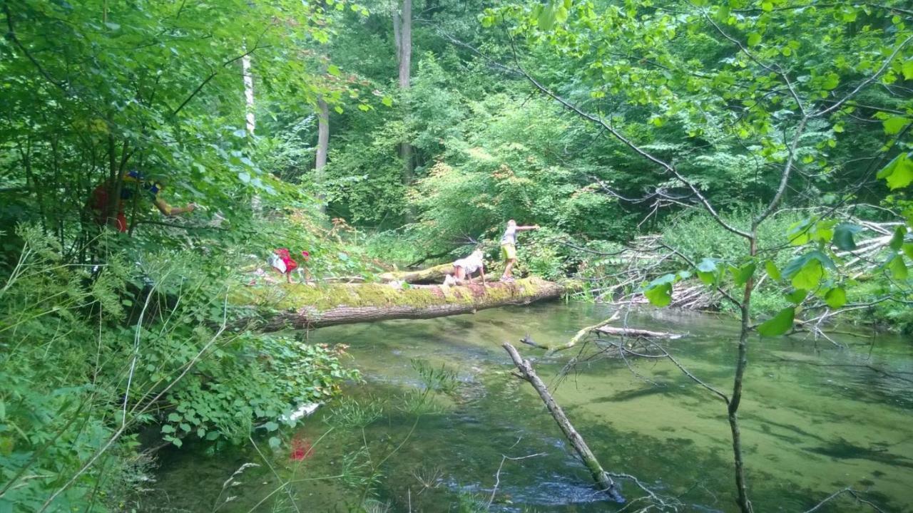Jaskółka - pokoje i apartament przy plaży Olsztyn  Zewnętrze zdjęcie